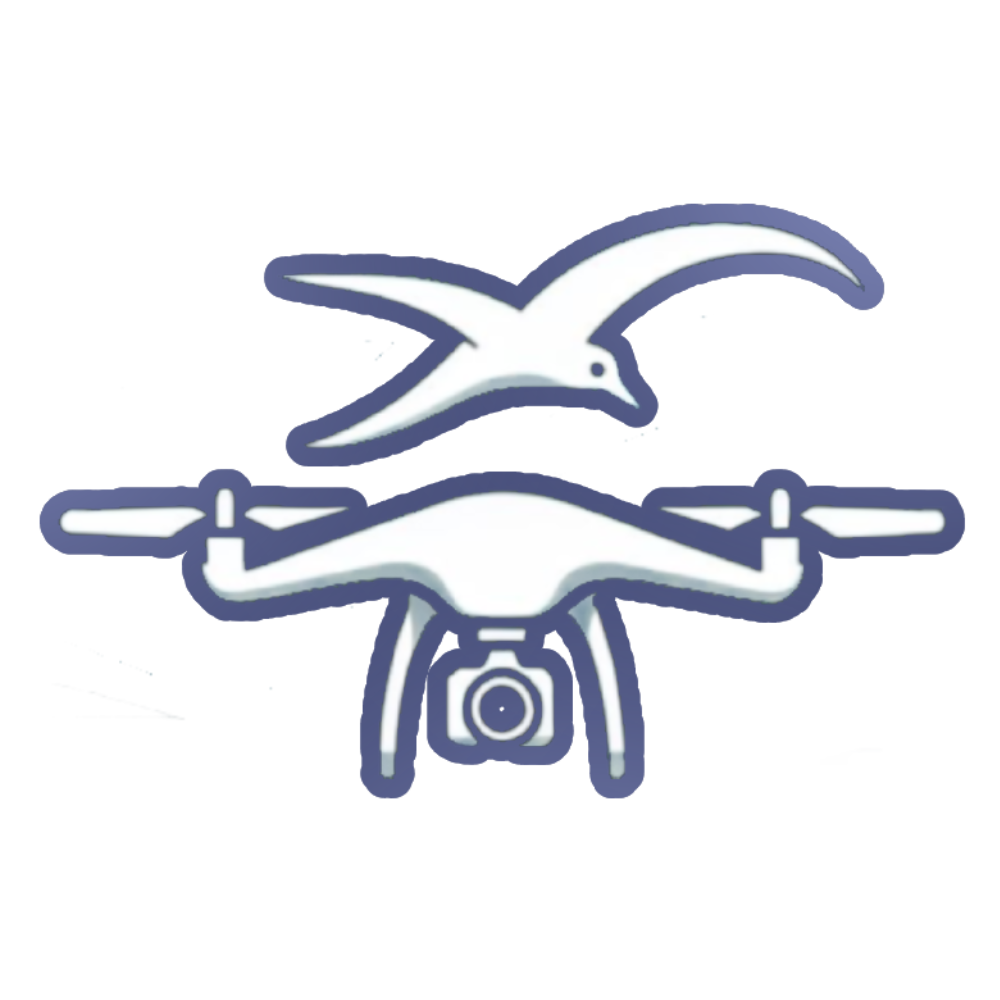 Shoot For The Skies Logo